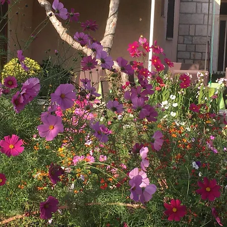 Дом отдыха Sandra