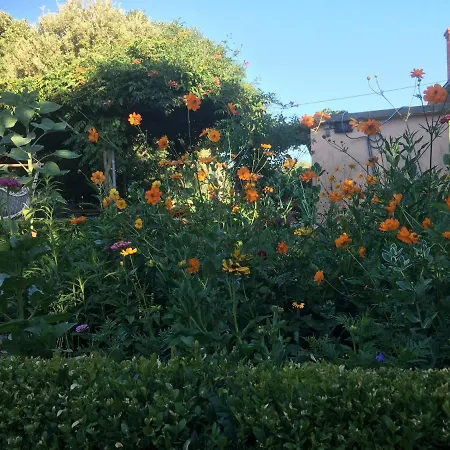 Sandra Дом отдыха *