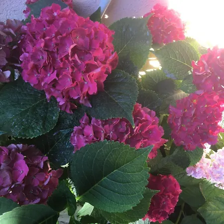 Sandra Дом отдыха *