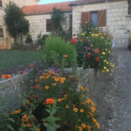 Holiday home Sandra Zrnovo