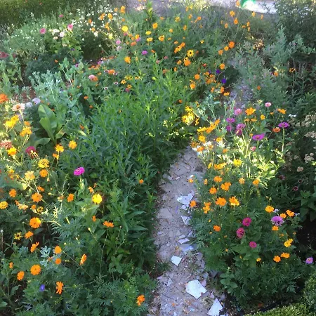 Дом отдыха Sandra