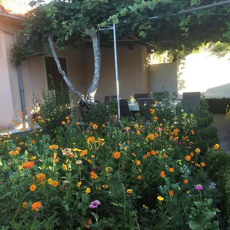 Sandra Дом отдыха