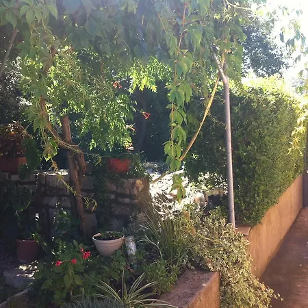 Дом отдыха Sandra *