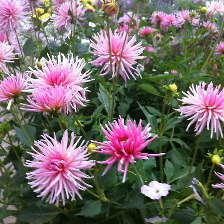 Sandra Дом отдыха *