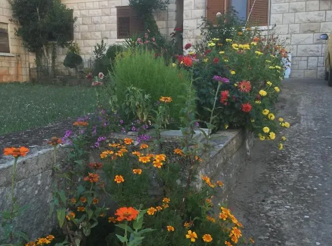 Feriehus Sandra Zrnovo